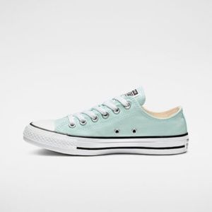NWT Chuck Taylor All Star Seasonal Color Low Top